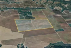 Imóvel Rural com Área de 555 ha (Fazenda Lírios dos Campos) - Loreto/MA