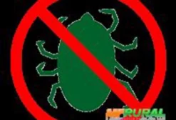 Carrapaticida Manipulado – Combate ao Carrapato com Eficácia 100% Garantida