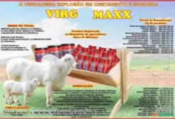 Suplemento Mineral Virg-Maxx para Engorda Rápida Bovina