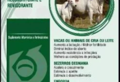 Vigorex Explosão e Ganho de Peso – Revigorante para Animais – 500ml