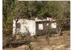 Sítio com 22 hectares em Silvânia - GO