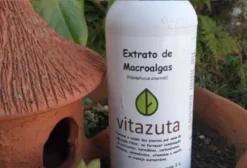Extrato Concentrado de Algas Vitazuta