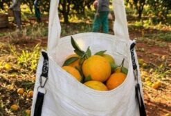 Mini Bags Para Plantio de Árvores