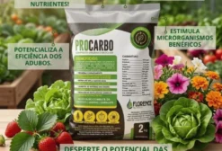 Biochar - Biocarvão em Itajaí SC