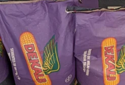 Semente de Milho Dekalb 177 Trecepta – 60.000 Sementes