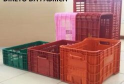 Caixas Plásticas Agrícolas para Hortifrúti, Frutas e Frango - Direto da Fábrica