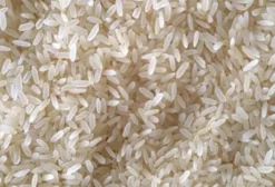 Arroz Parboilizado IR-64 – Grão Médio Longo – Venda por Tonelada