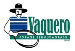 Sementes de Capim Vaquero Tropical – 70% CD 90160 + 30% Bermuda Grass – Pastagem de Alta Produtividade