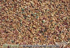 Semente de Estilosantes Campo Grande – Alto Teor Proteico para Pastagens e Solos Fracos