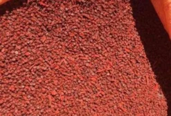 Semente de Urucum para Nutrição Animal – Bixina 3,8% – Safra 2022