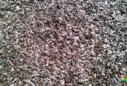 Semente de Maracujá Natural – 95% Limpeza, Direto do Produtor (Cariacica/ES)