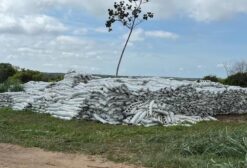 Slabs de Substrato Para Plantio 5Kg