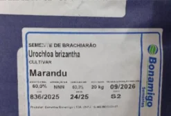 Sementes de Pastagem de Qualidade em Curvelo - MG