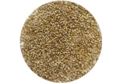Sementes de Brachiaria Ruziziensis para Pastagem - R$10/kg - Sinop/MT
