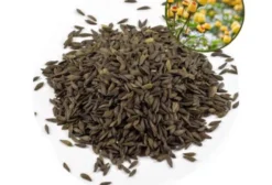 Pacote com 50 Sementes de Jambu (Agrião do Pará) - Alta Germinação - Castanhal/PA