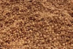 Semente de Açaí In Natura para Plantio e Uso Industrial - Venda em Cachoeira do Arari/PA