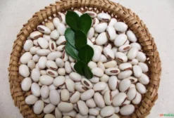 Sementes Orgânicas Certificadas de Feijão de Porco (Canavalia ensiformis) – 5kg, 15/kg