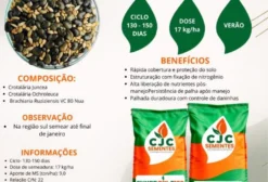 Semente Forrageira Synergix 3150 – Crotalária Juncea + Ochroleuca + Ruziziensis VC 80 Nua