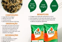Mix de Sementes Forrageiras Synergix 490 – Sorgo, Milheto, Crotalária e Braquiária