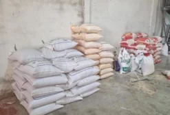 Sorgo em Grãos para Alimentação Animal - Pacote de 50 kg