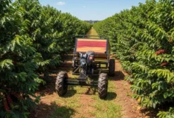 Quadriciclo Agrícola CTA – 125cc a 160cc com Carreta Basculante