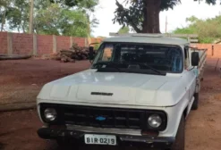 Chevrolet D10 com Carroceria de Madeira - Diesel Turbinada e Direção Hidráulica