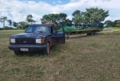 Camionete Ford F1000 Usada – Ótimo Estado – Vila Rica/MT