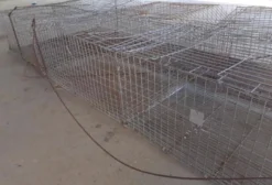 Gaiolas de Aço Galvanizado para Coelhos, Porquinhos-da-Índia e Frangos - Piracaia/SP
