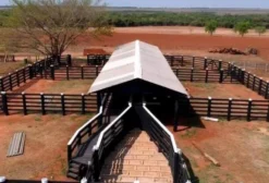 Tinta Para Currais – Tambor de 200 Litros na Cor Preta