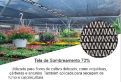 Tela Agrícola Rafia 70% - 3x50m para Sombreamento