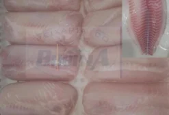 Filé de Tilápia, Barriguinha e Quexinho – Pacotes de 1 kg e 5 kg | Carlópolis PR