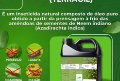 Inseticida Orgânico Fitoneem - Óleo de Neem 1 Litro