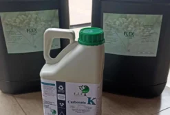 Óleo de Neem Puro Indiano - Defensivo Agrícola Orgânico 1 Litro