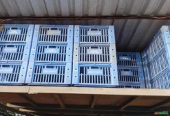 Caixas BR1000 Usadas em Bom Estado - Embalagens para Armazenamento