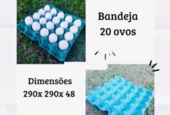 Bandeja para Ovos de Galinha – Pacote com 100 Unidades (20 ou 30 Ovos)