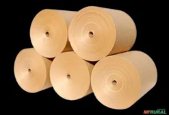 Bobinas de Papel Kraft 100% Reciclado para Embalagens Rurais