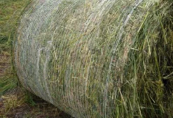 Polynet Rede para Enfardadeira - Alta Resistência e Proteção UV