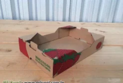 Caixas de Papelão para Frutas, Exportação e Indústria