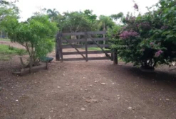 Fazenda à Venda em Luziânia-GO | 37 Hectares com Casa, Nascentes e Pasto