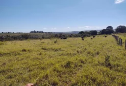 Chácara de 60 mil m² em Brazlândia DF – Ótima Oportunidade de Investimento Rural