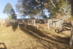 Chácara à Venda no Núcleo Rural Pipiripau – Planaltina/DF – 63,15 hectares com Benfeitorias