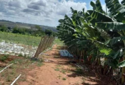 Chácara de 2,5 Hectares em Planaltina/DF com Estufas e Irrigação