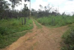 Chácara Rural com Escritura em Sobradinho – DF