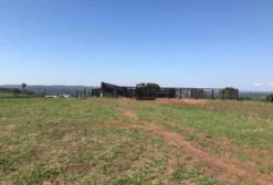 Fazenda para Pecuária com Reflorestamento em Abadia de Goiás - GO