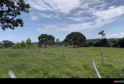 Fazenda de Dupla Aptidão em Abadia de Goiás – 32 Alqueires com Sede, Piscina e Represas