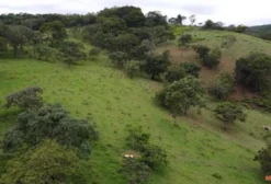 Fazenda de 14,8 Alqueires à Venda em Abadiânia, GO