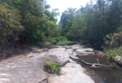 Fazenda para Pecuária com 8,5 Alqueires e Ótimos Recursos Hídricos em Abadiânia - GO