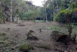 Chácara à Venda em Acreúna – 5,5 Hectares com Casa, Lago e Pomar