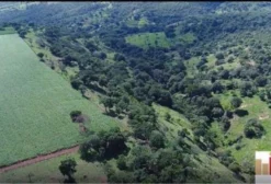 Chácara de 14 Alqueires em Alexânia - GO - À Venda