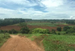 Sítio em Alexânia – 29,4 Hectares a 70 km de Brasília